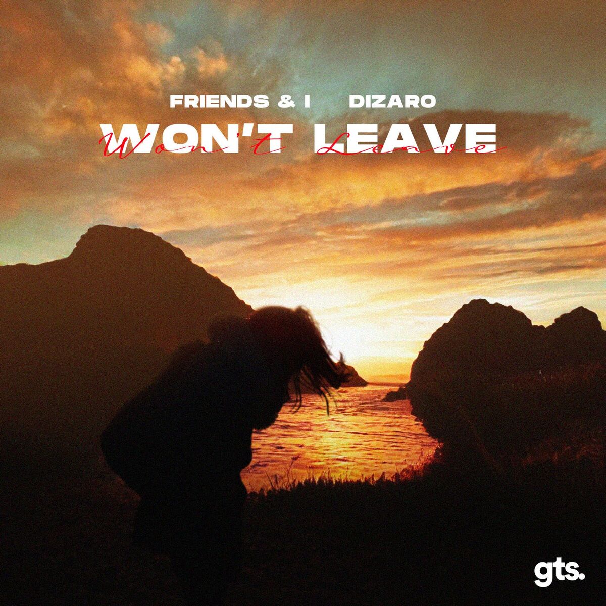 Album cover of Won't Leave