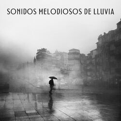 Cover of Sonidos Melodiosos De Lluvia