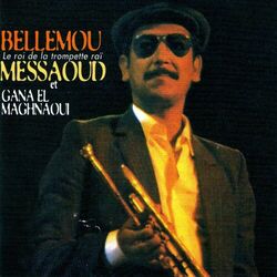 Cover of Le roi de la trompette raï