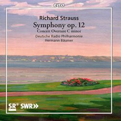 Cover of R. Strauss: Symphony No. 2 in F Minor, Op. 12, TrV 126 & Concert Overture in C Minor, TrV 125