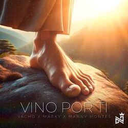 Cover of Vino Por Ti
