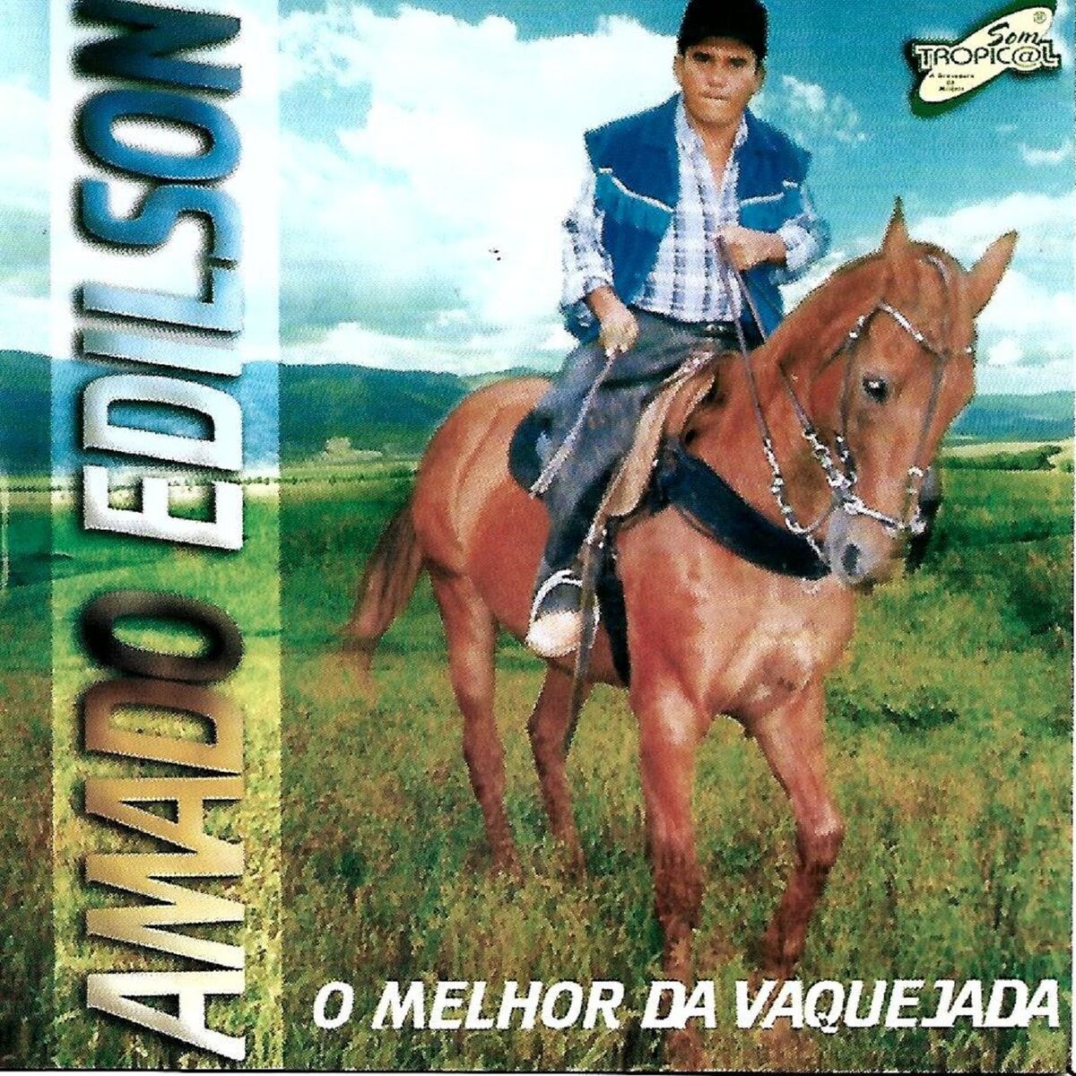 Album cover of O Melhor da Vaquejada