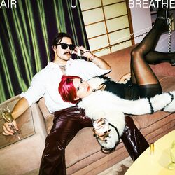 Cover of AIR U BREATHE