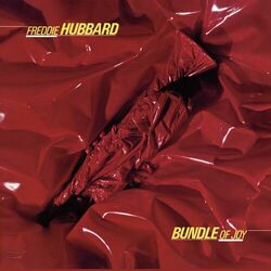 Cover of Bundle Of Joy