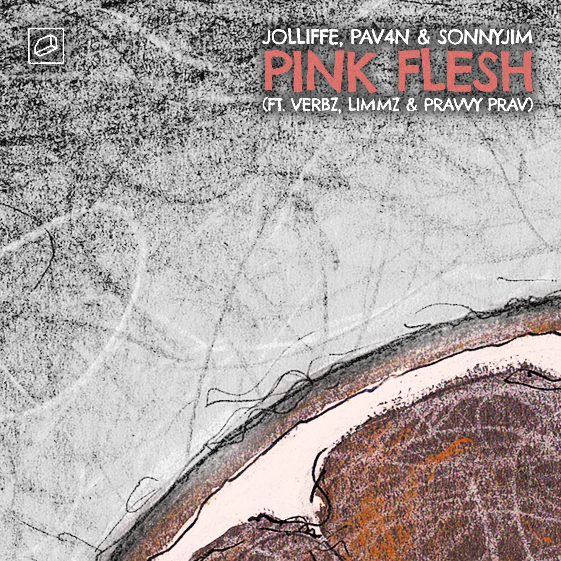 Album cover of Pink Flesh