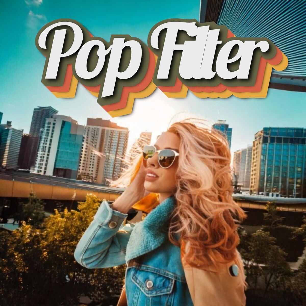 Album cover of Pop Filter