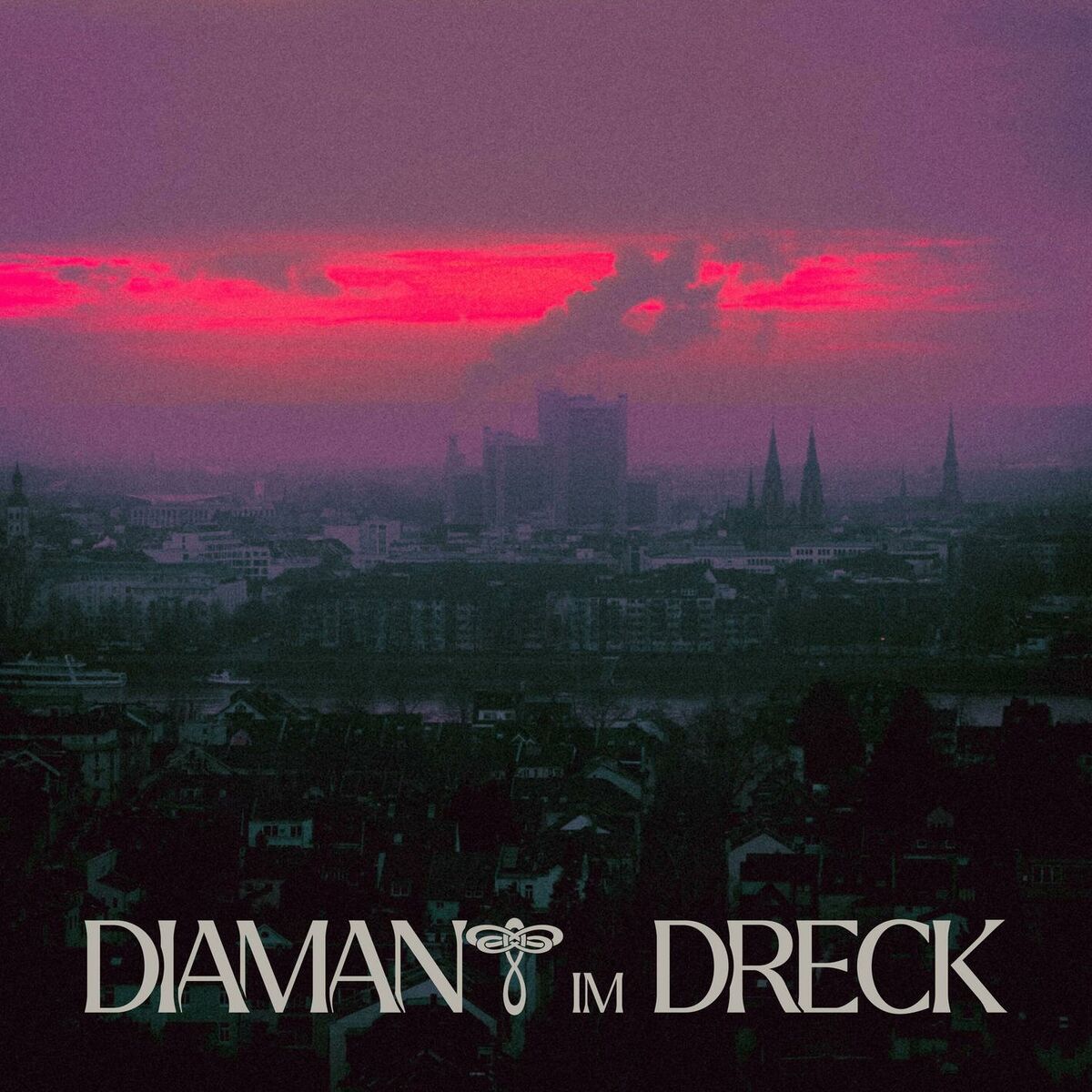 Album cover of DIAMANT IM DRECK
