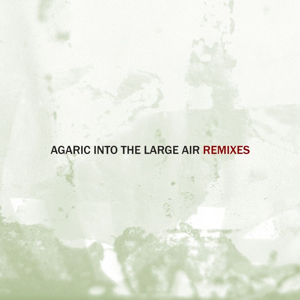 Picture of Into the Large Air, Pt. 1 (Remixes)