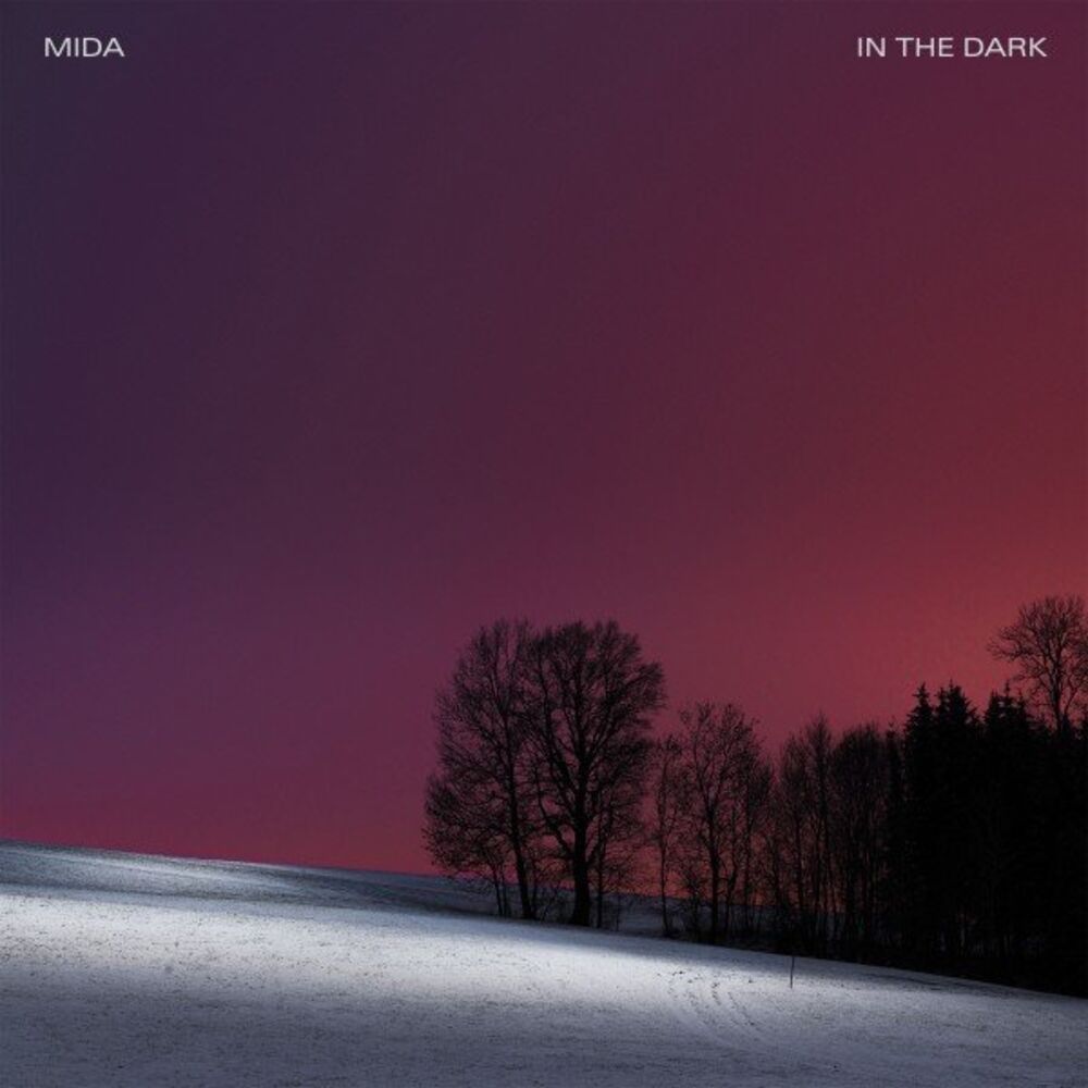 Picture of In the Dark