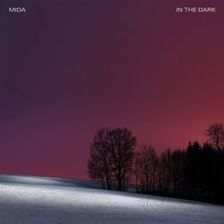 Cover of In the Dark