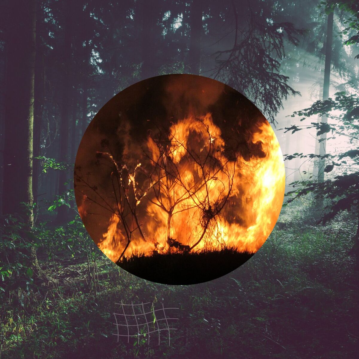 Album cover of About Heatwaves & Wildfires