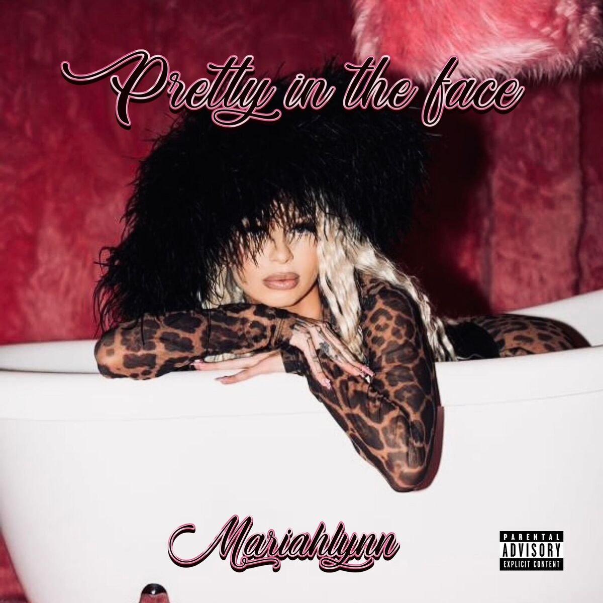 Album cover of Pretty in the Face
