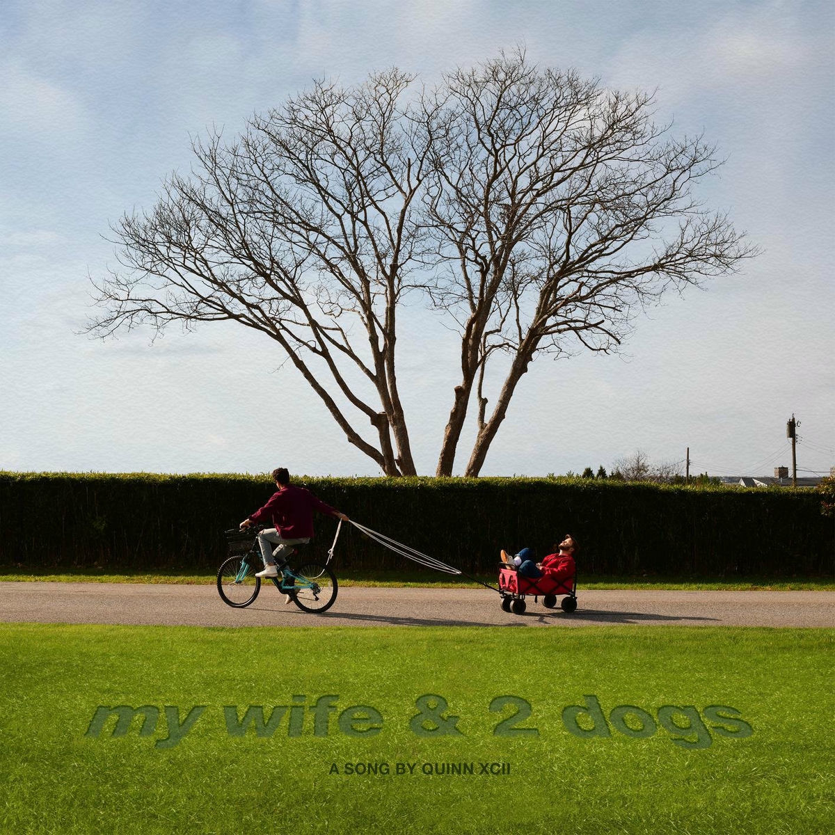 Album cover of My Wife & 2 Dogs
