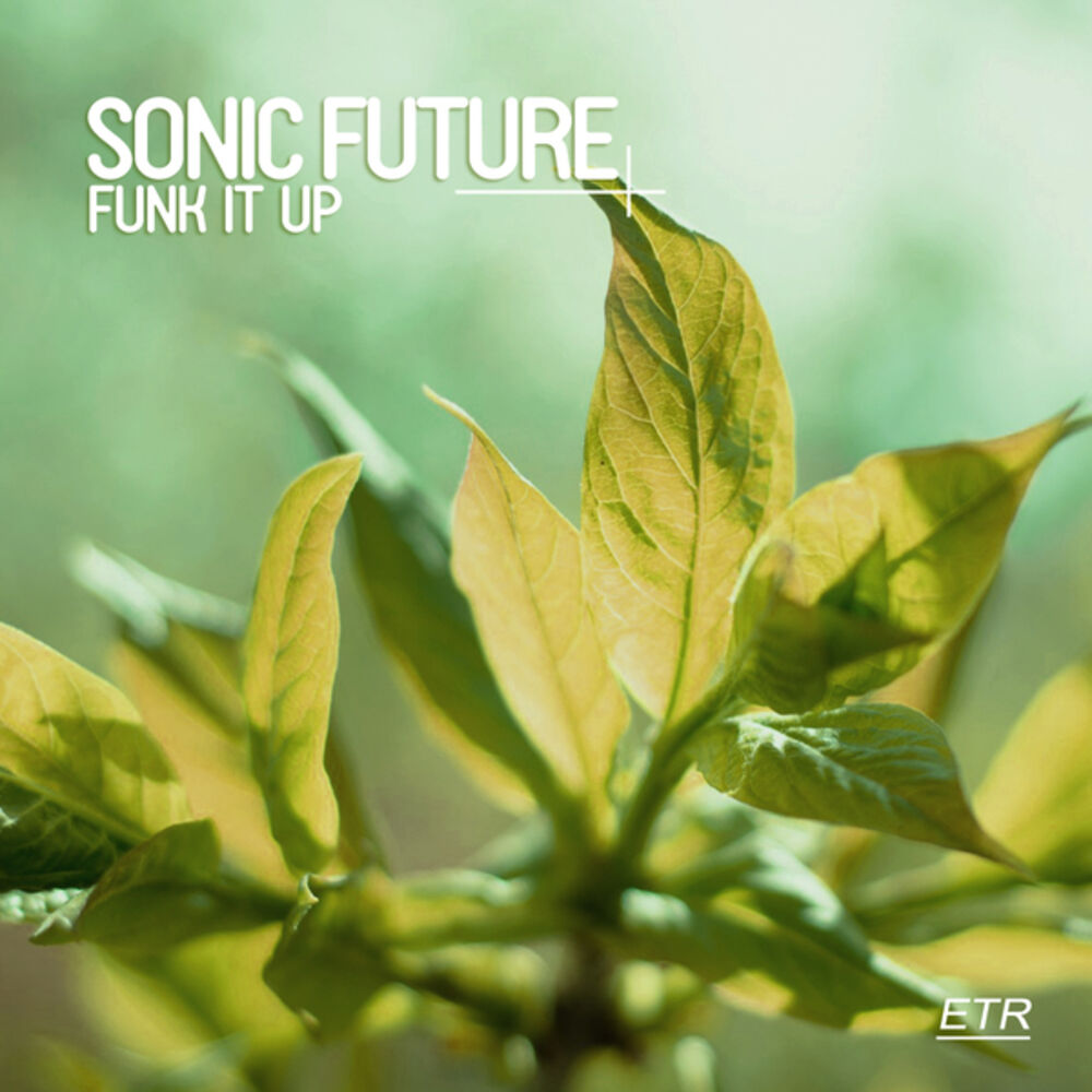 Picture of Funk It Up