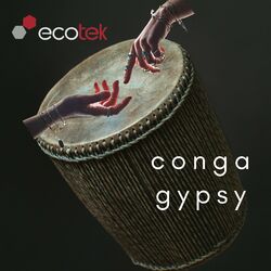 Cover of Conga Gypsy