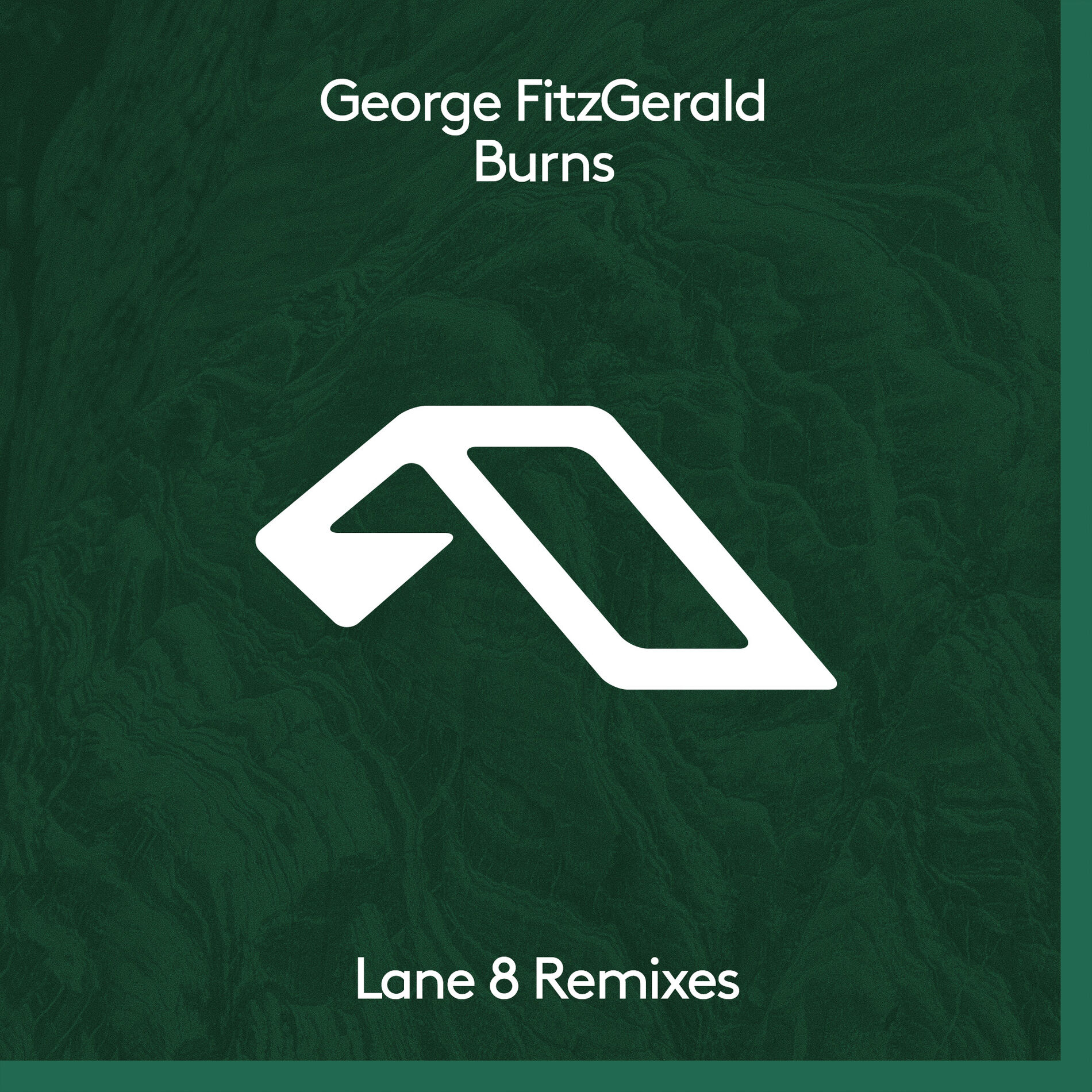 Album cover of Burns