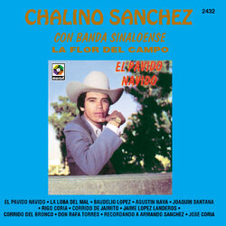 Cover of La Flor Del Campo: El Pávido Návido