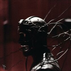Cover of The Bondage Of The Will (feat. Carolina Padrón)