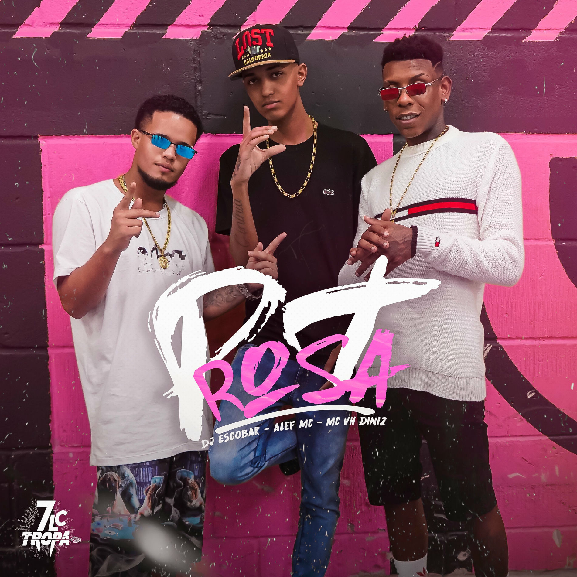 Album cover of Pt Rosa