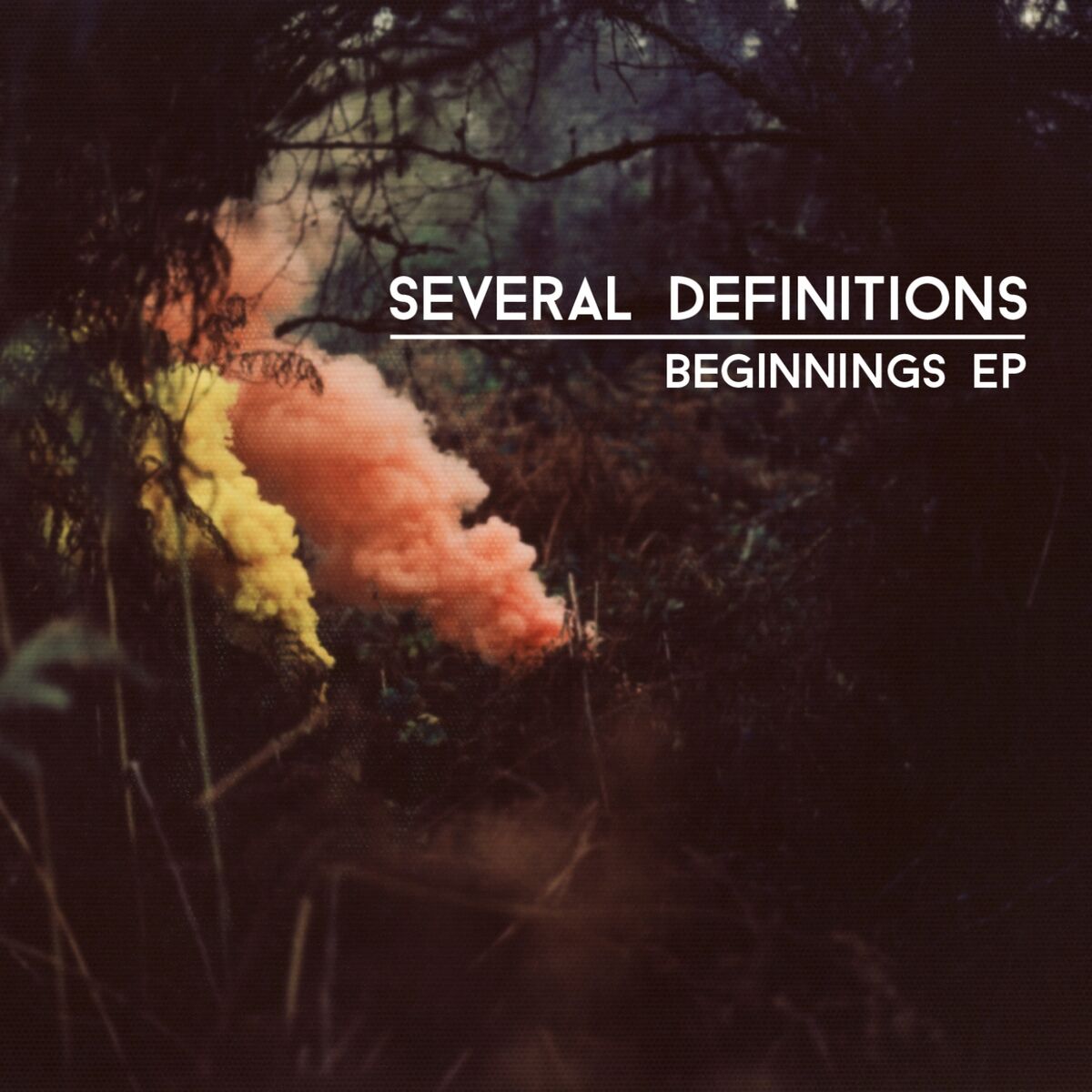 Album cover of Beginnings