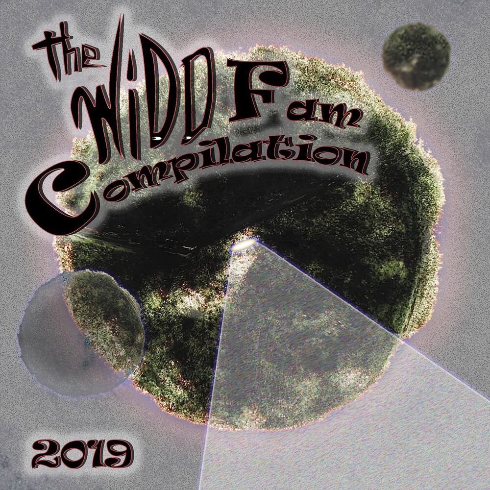 Picture of WiddFam 2019 Compilation