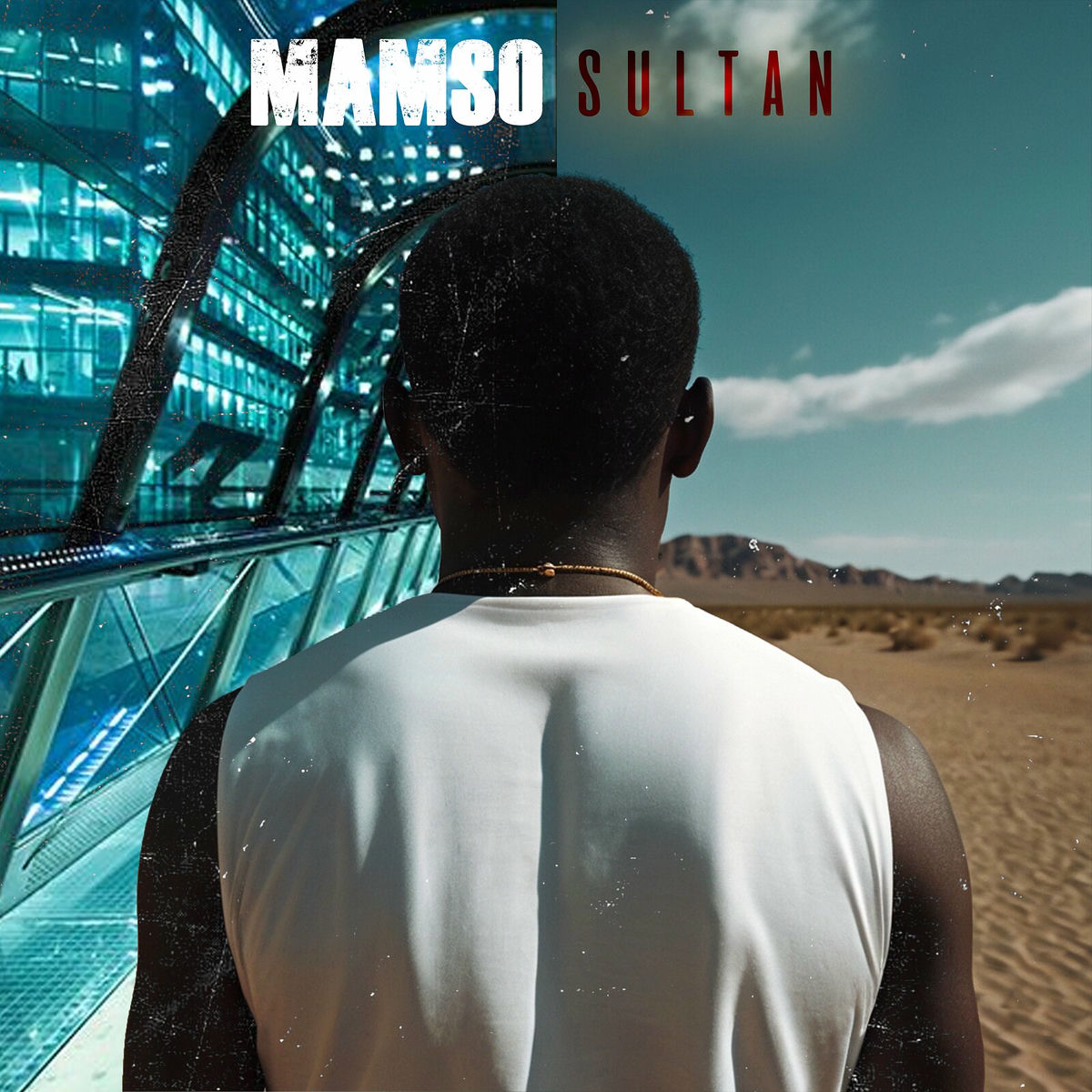 Album cover of Sultan