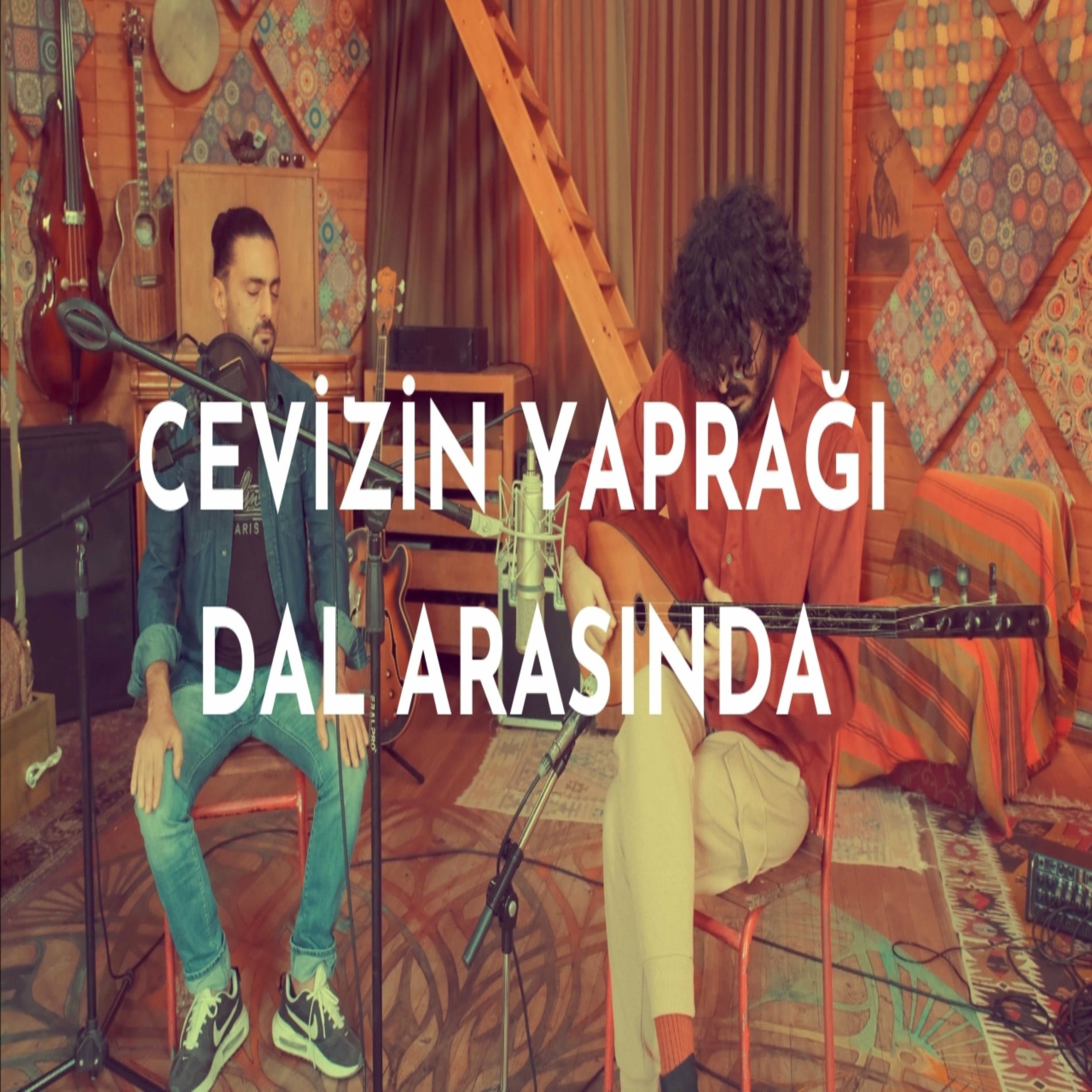 Album cover of Cevizin Yaprağı Dal Arasında (feat. Muhlis Berberoğlu)
