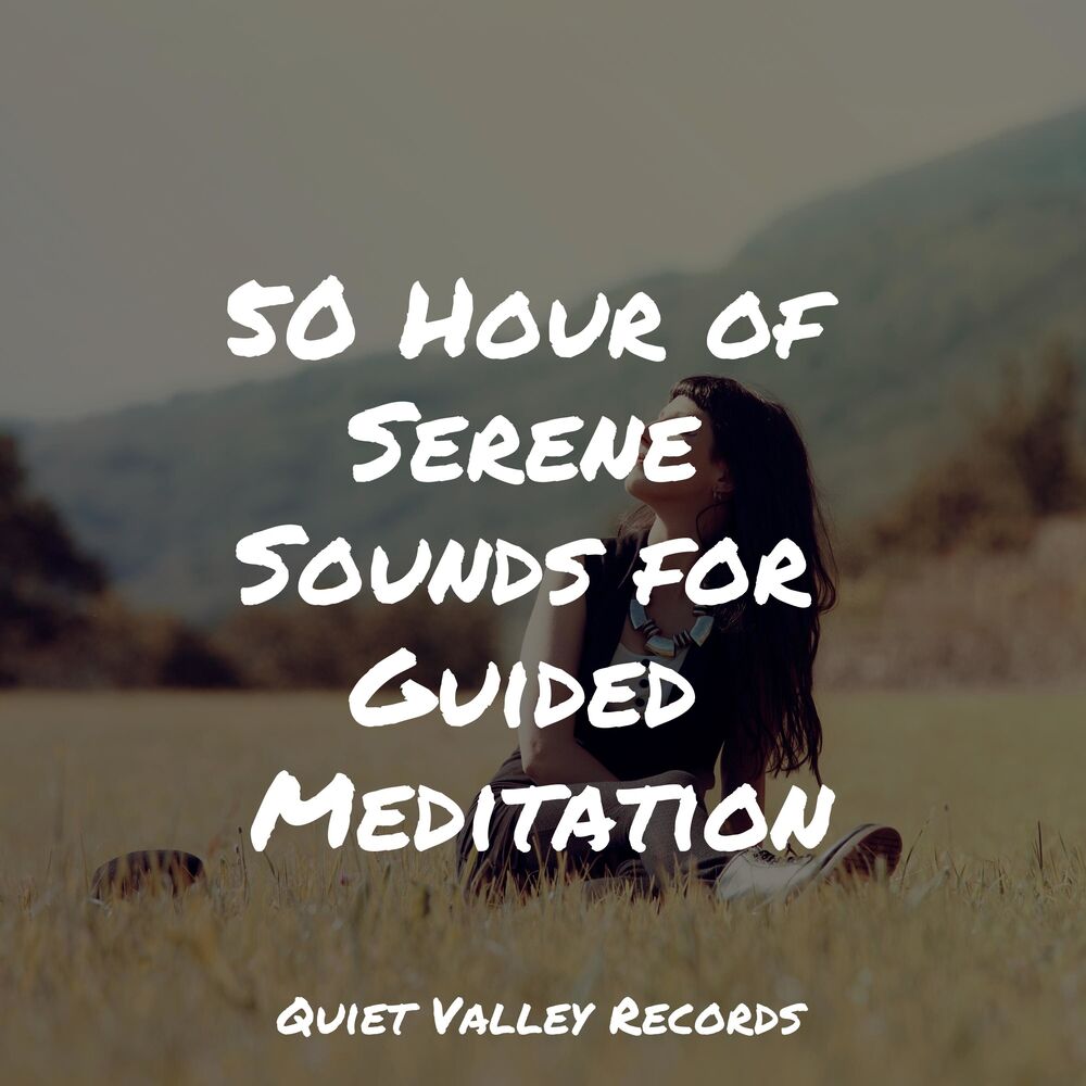 Picture of 50 Hour of Serene Sounds for Guided Meditation