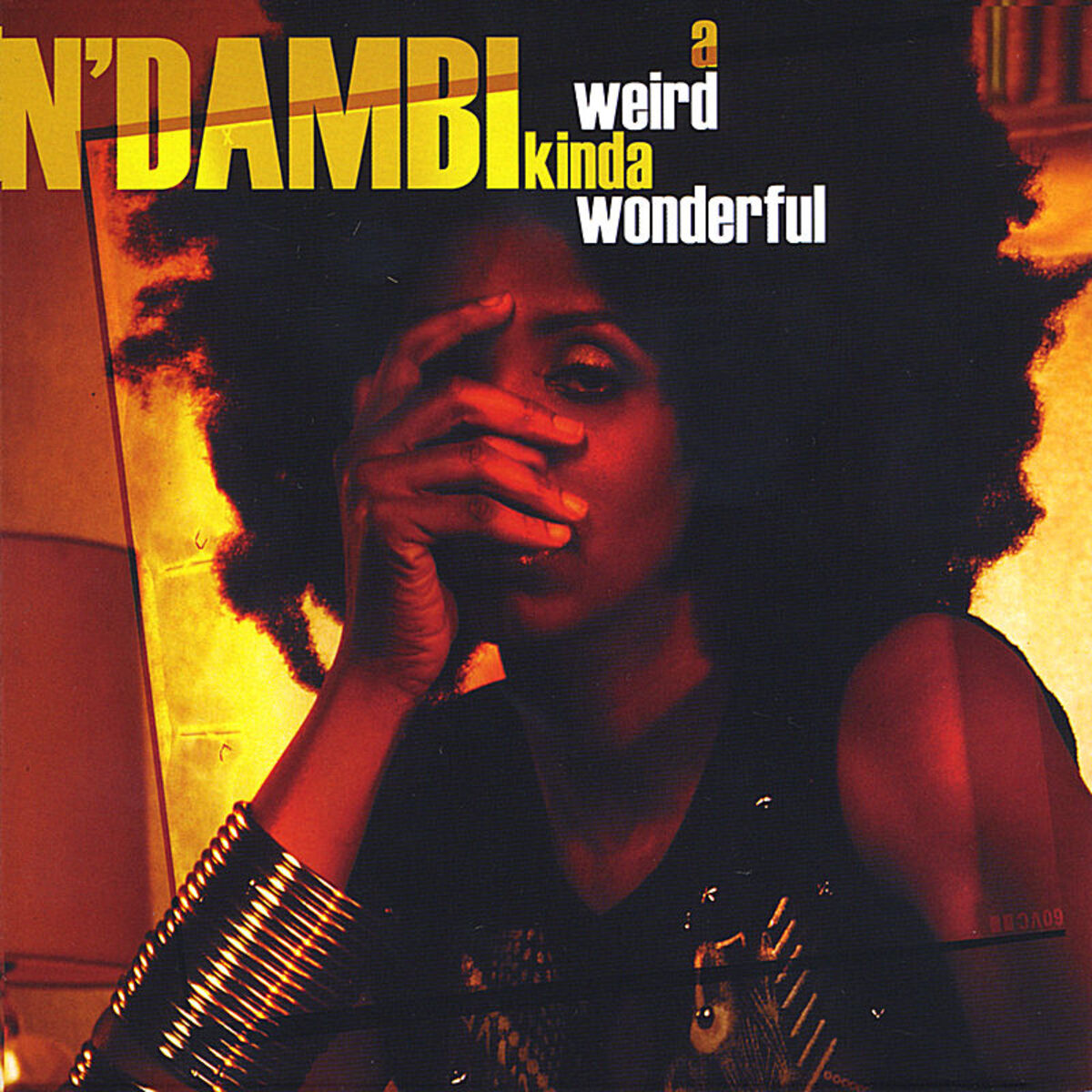 Album cover of A Weird Kinda Wonderful
