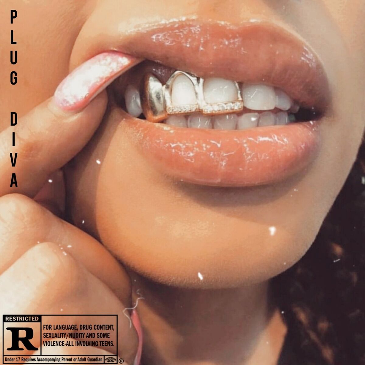 Album cover of Plug Diva