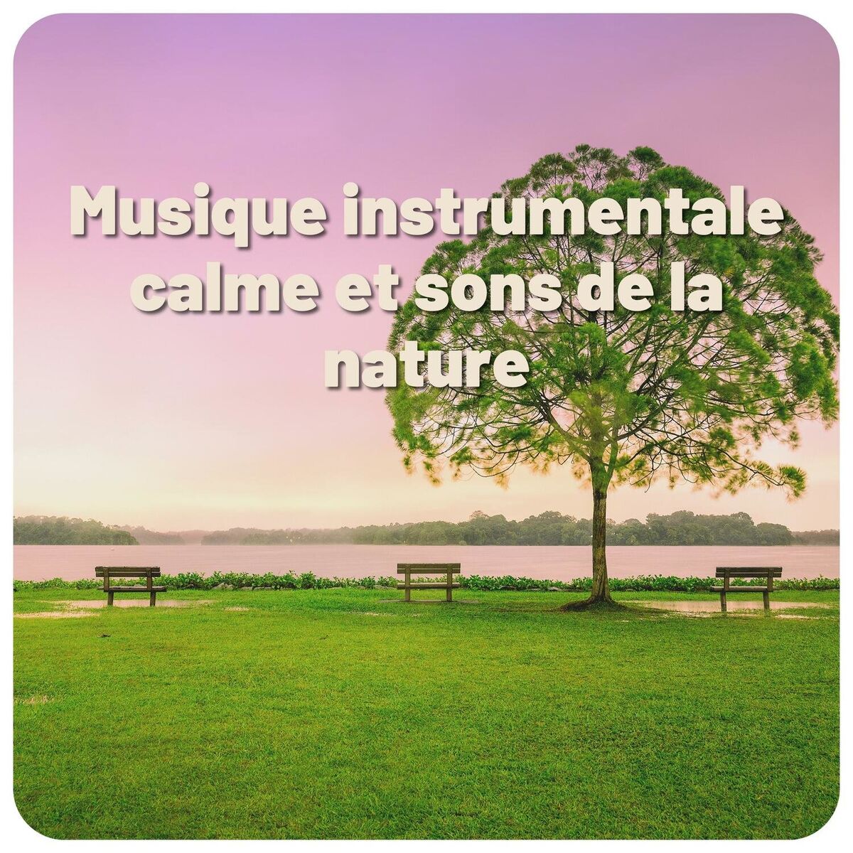Album cover of Musique instrumentale calme et sons de la nature