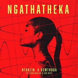 Cover of Ngathatheka