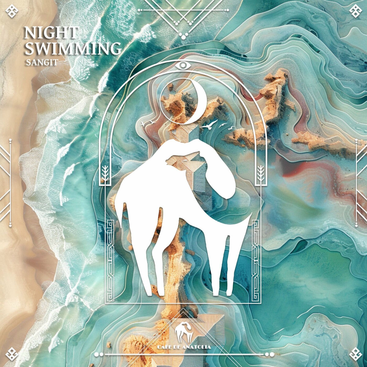 Album cover of Night Swimming