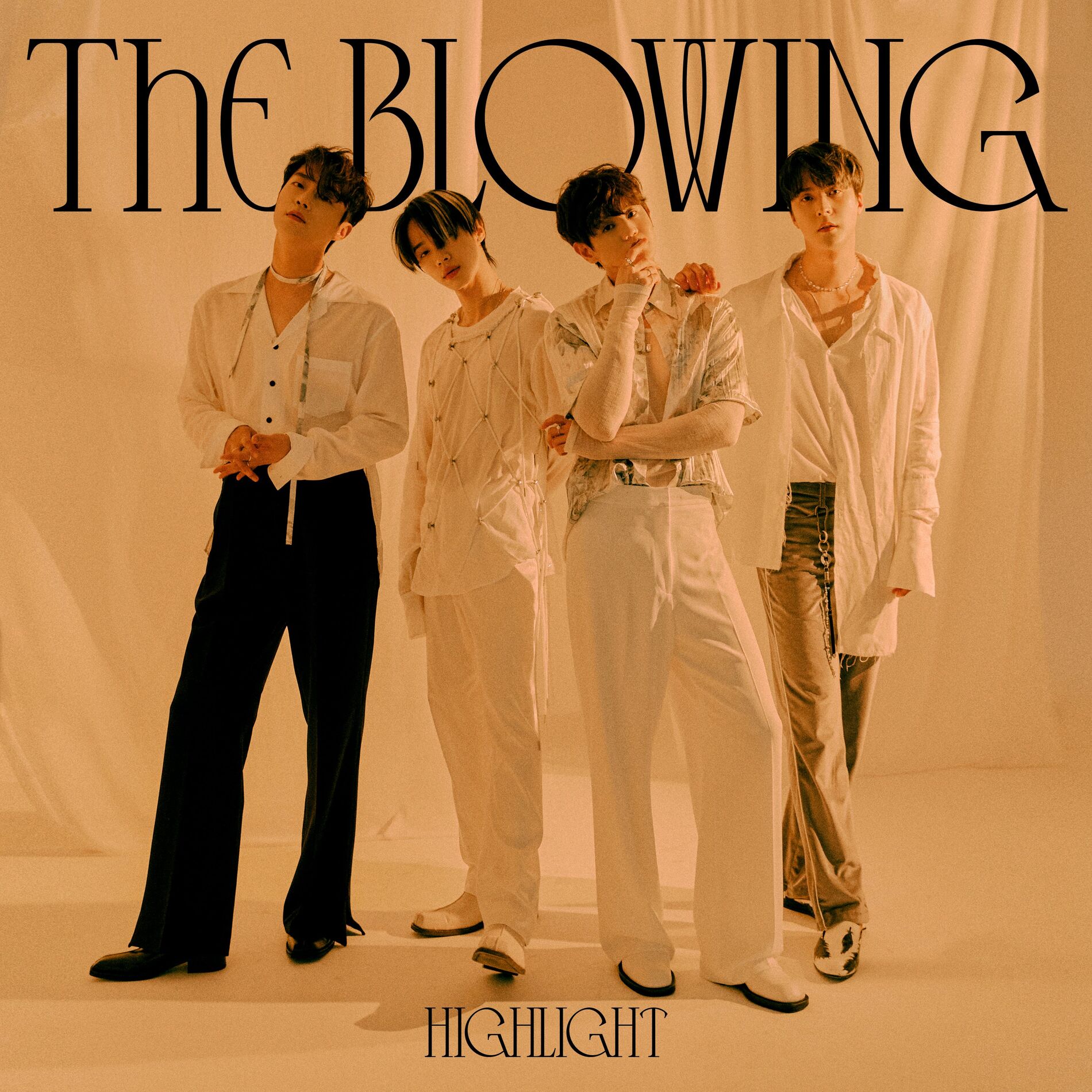 Album cover of WAVE