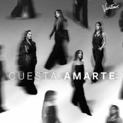 Cover of Cuesta Amarte