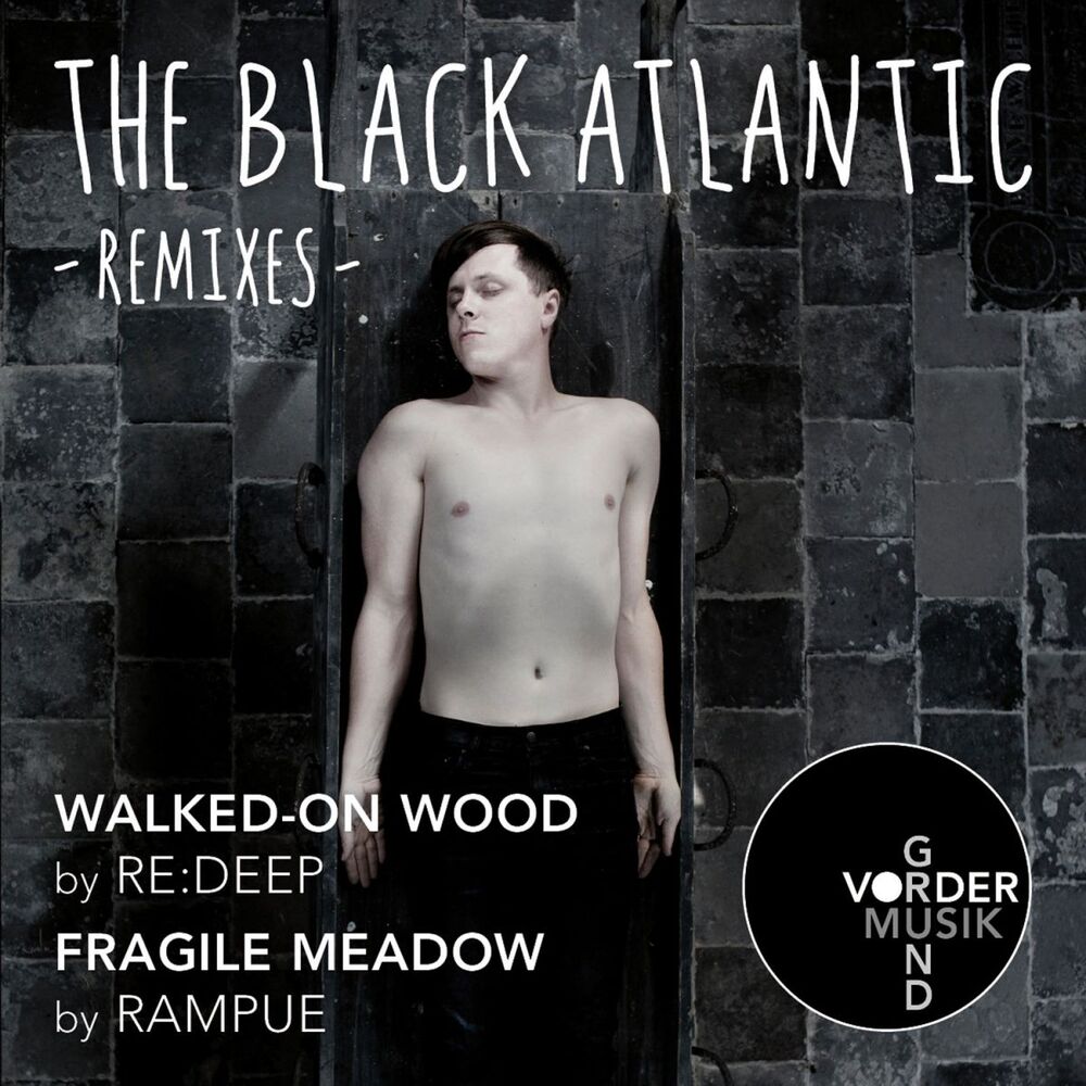 Picture of Walked-On Wood / Fragile Meadow Remixes