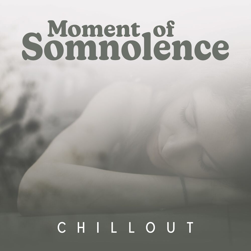 Picture of Moment of Somnolence Chillout