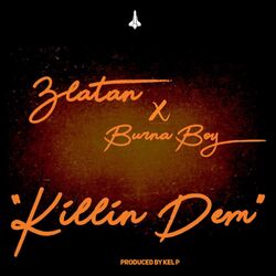 Cover of Killin Dem