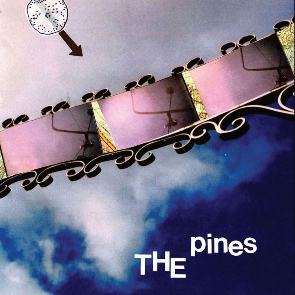 Picture of Pines, The