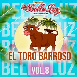 Cover of El Toro Barroso, Vol. 8