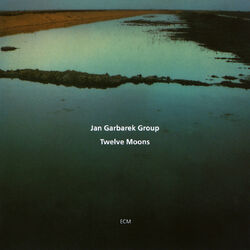 Cover of Twelve Moons