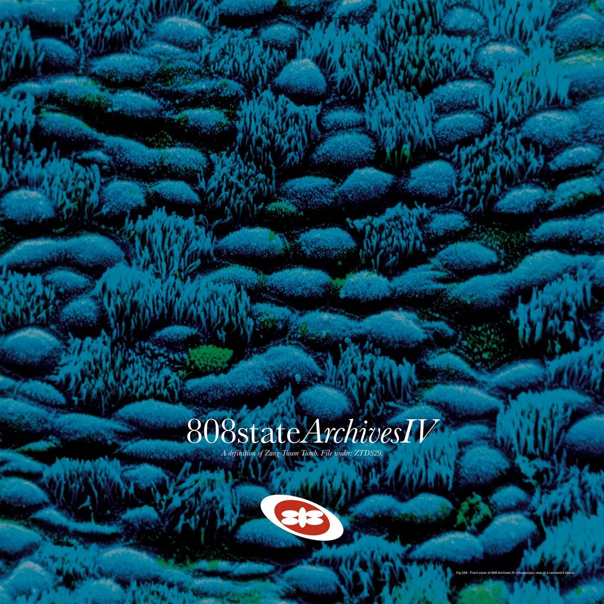 Album cover of 808 Archives (Pt. IV)