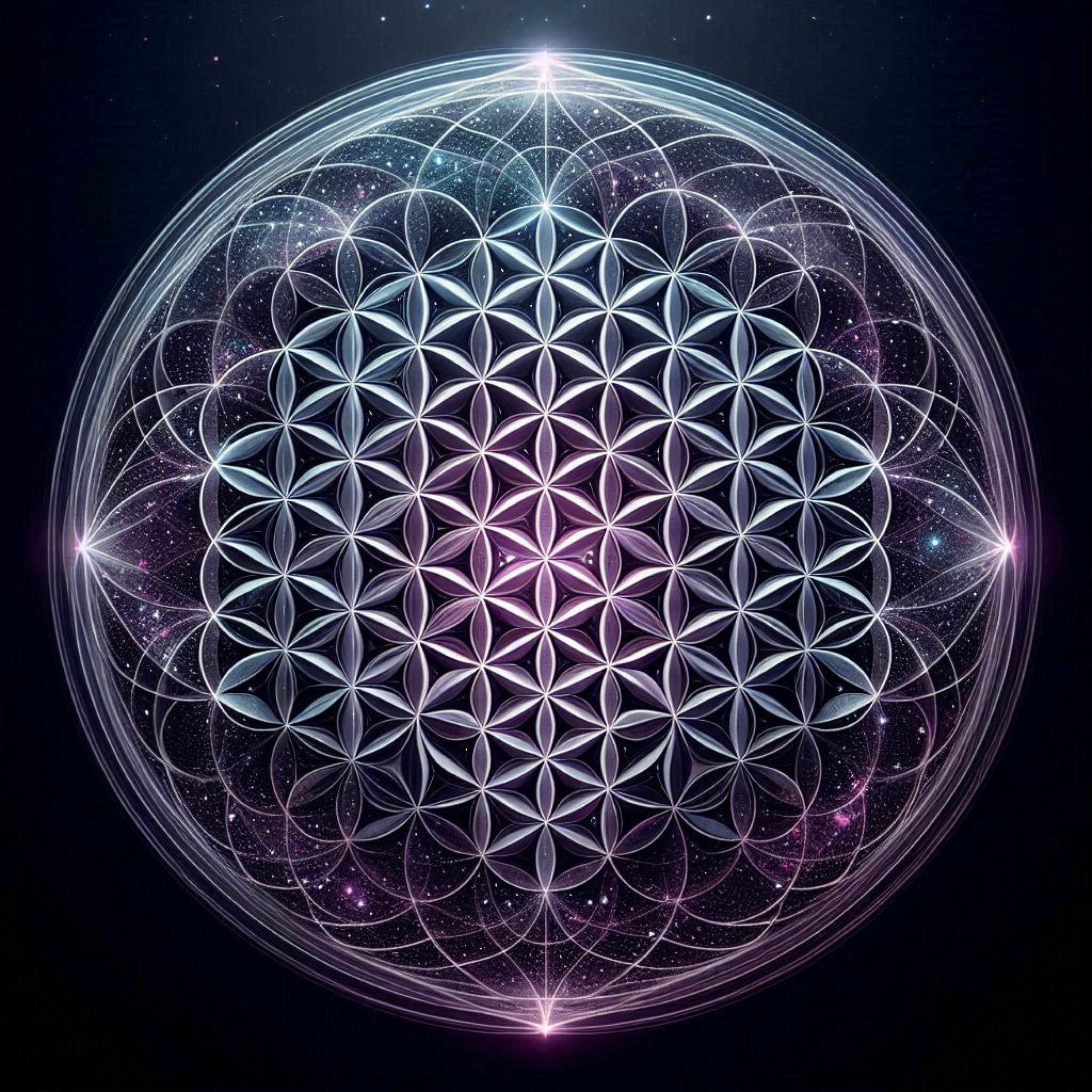 Album cover of this moment is all we have