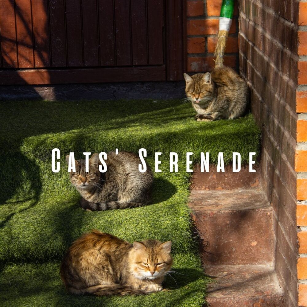 Picture of Cats' Serenade: Ambient Music and Purrs