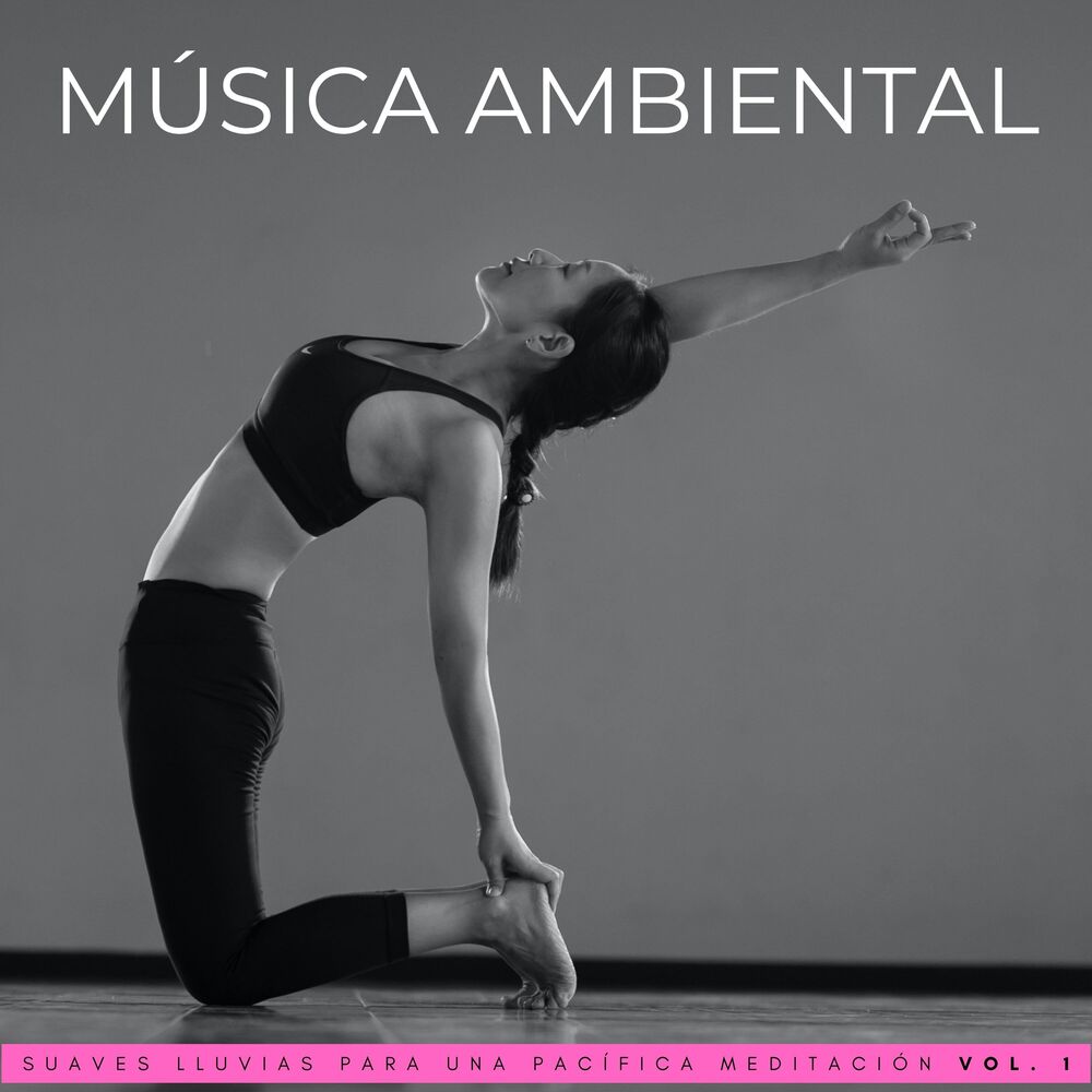 Picture of Música Ambiental: Suaves Lluvias Para Una Pacífica Meditación Vol. 1