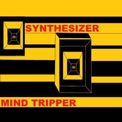 Cover of Synthesizer