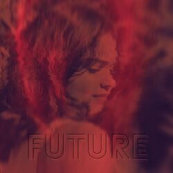 Cover of Future