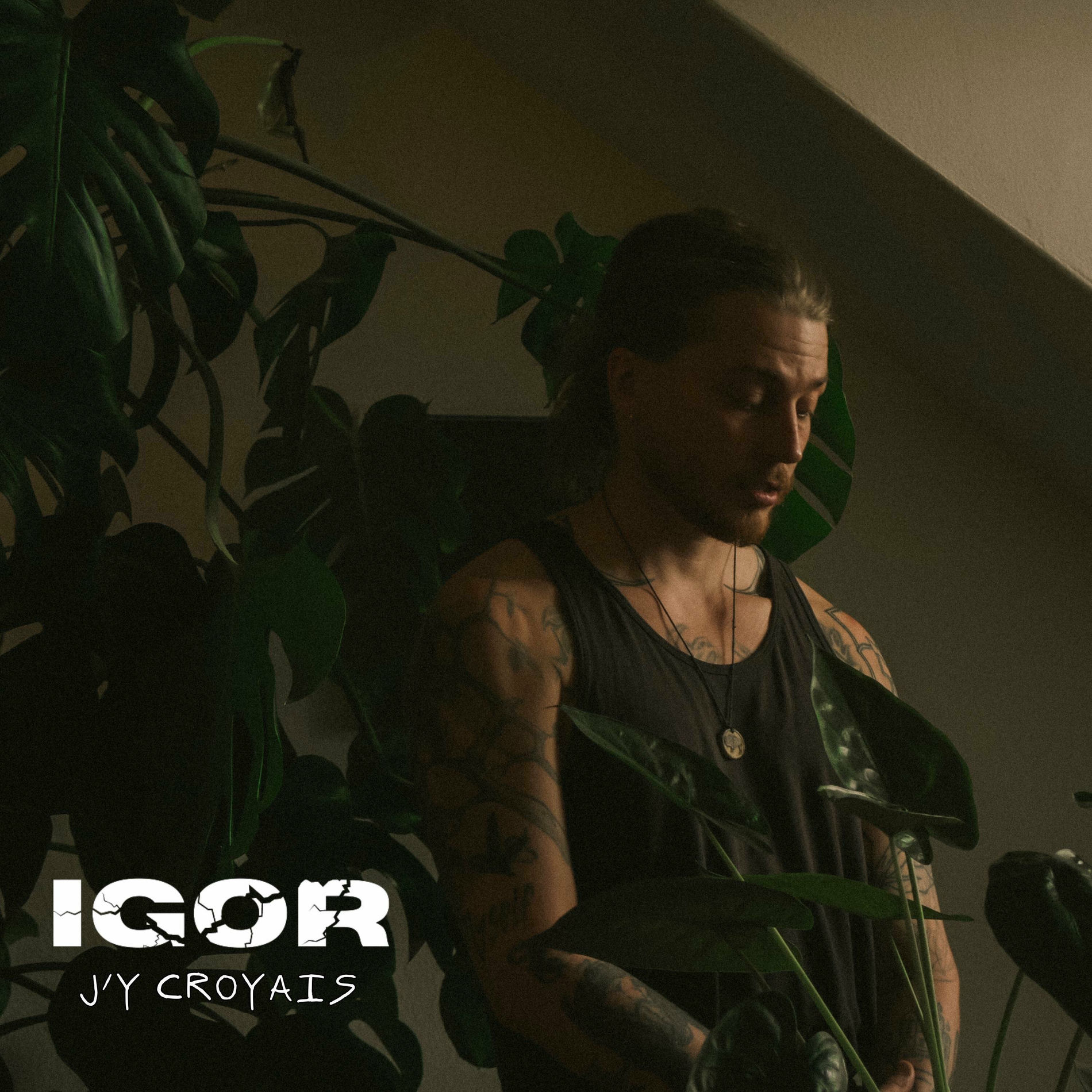 Album cover of J'Y CROYAIS