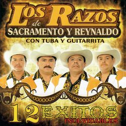 Cover of 12 Exitos Inolvidables Con Tuba y Guitarra