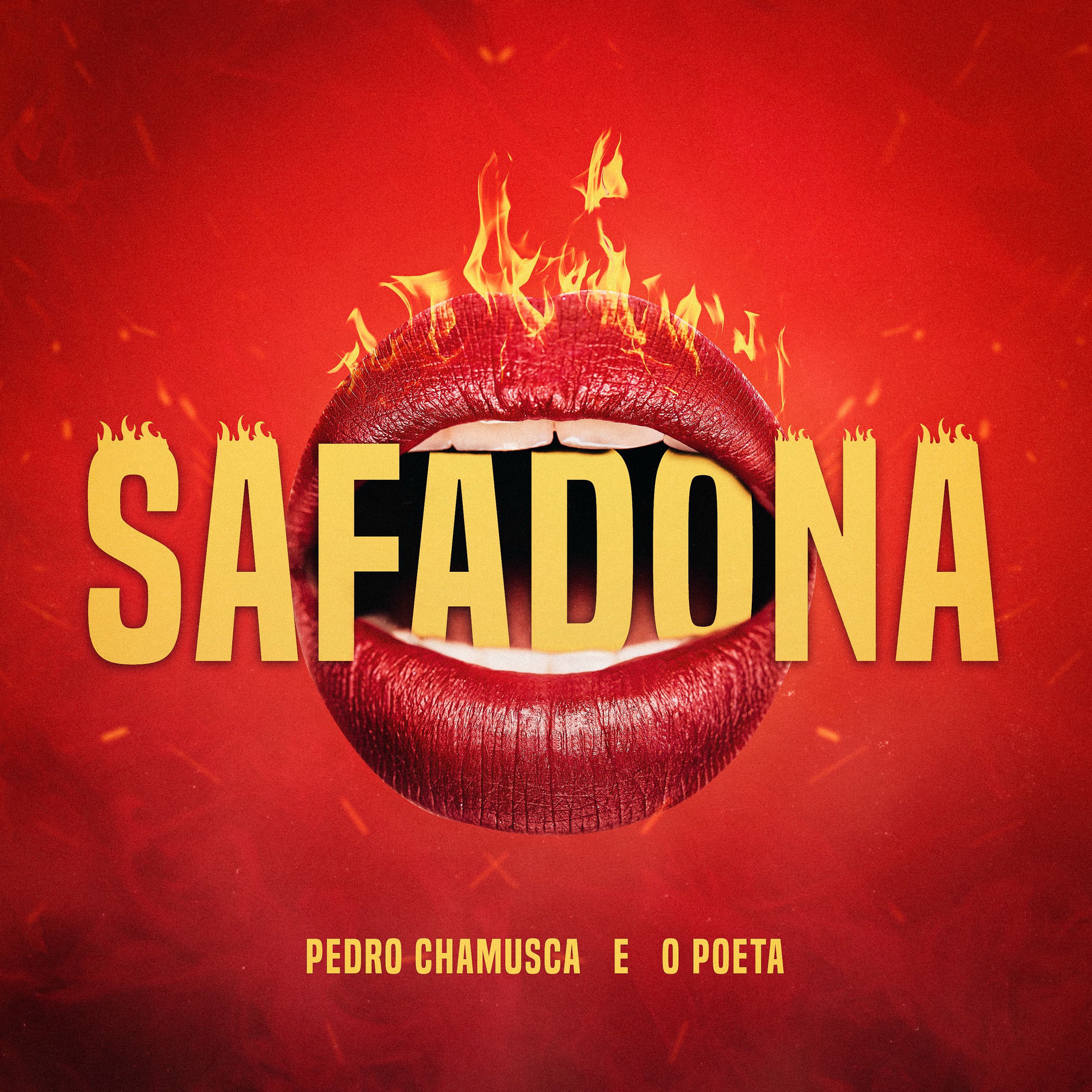 Album cover of SAFADONA